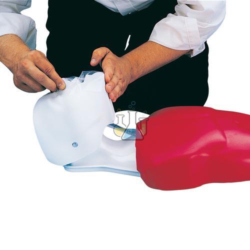 Basic Buddy resuscitation mannequin